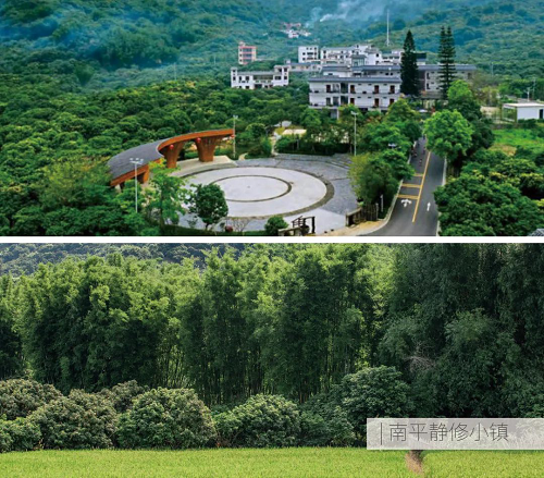 图片11.png