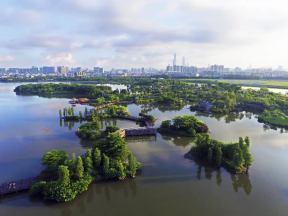广州市城市规划展览中心_2022-02-01_广州市规划和自然资源局局长吴扬：老城市新活力要规划引领，两条腿走路2985.png
